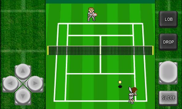 加钦科网球2正版下载安装