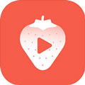 草莓视频在线观看高清视app安卓版 